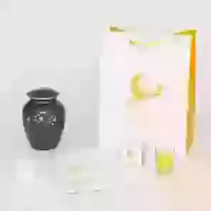 Classic Pet Urn